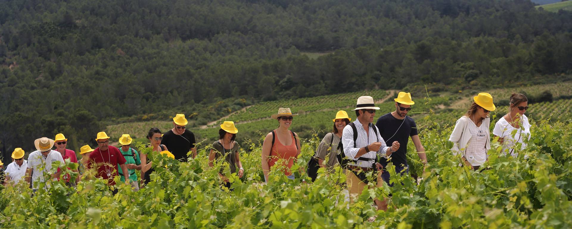 Balade gourmande Pays d'Art et d'Histoire Haut Languedoc et Vignobles