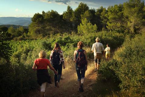 Balade dans les Vignes ©George SOUCHE