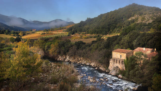 Moulin Pays d'Art et d'Histoire Haut Languedoc et Vignobles