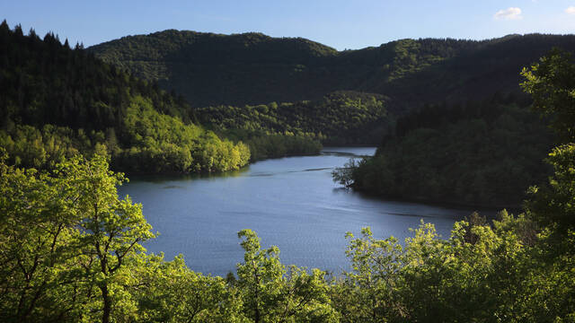 Lac des Monts d'Orb, Avène ©G.Souche