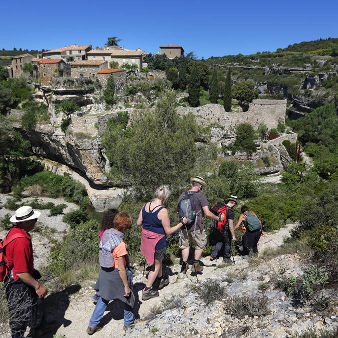 Minerve