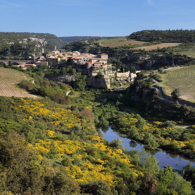 Rivière Pays d'Art et d'Histoire Haut Languedoc et Vignobles