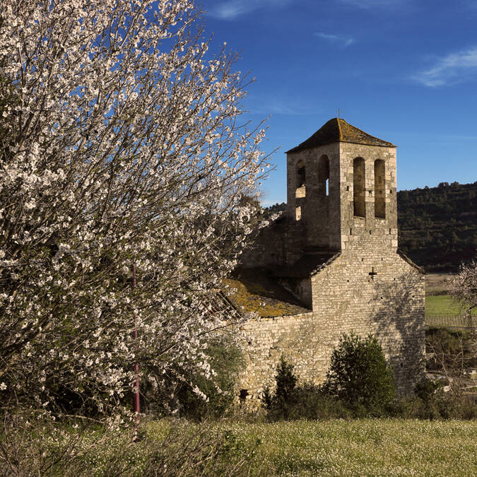 Eglise romane Pays d'Art et d'Histoire Haut Languedoc et Vignobles